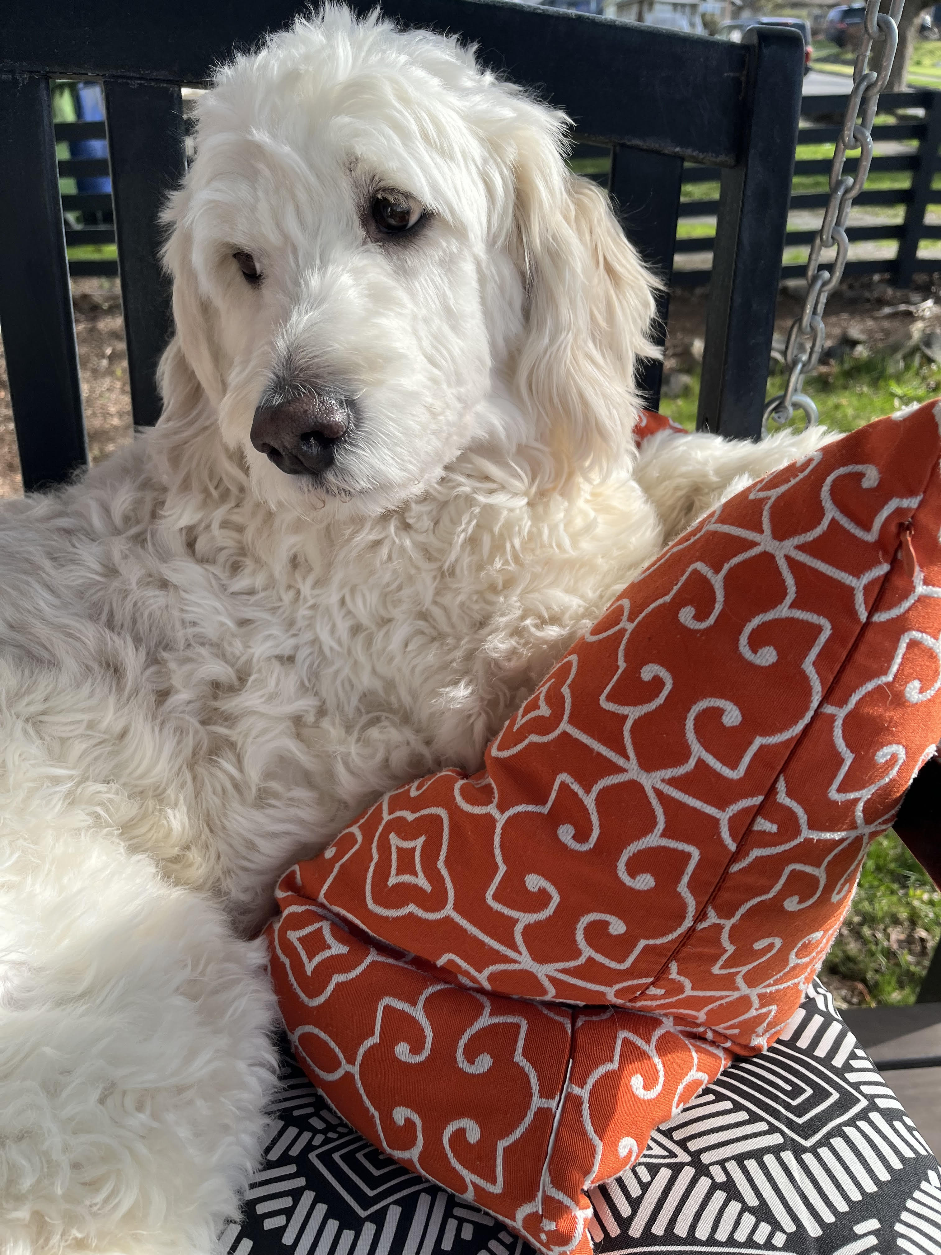 Marley